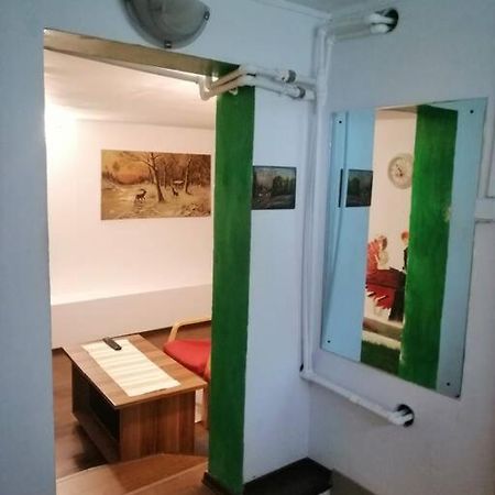 Moss'S Cave Appartement Timişoara Buitenkant foto