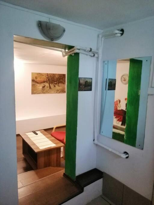 Moss'S Cave Appartement Timişoara Buitenkant foto